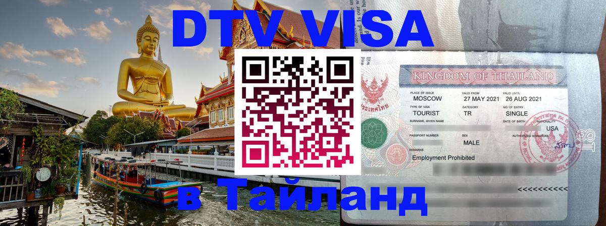 Сколько стоит DTV виза — актуальные цены, оформление даже без документов - София 